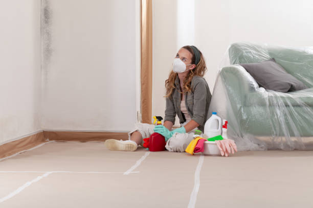 Reliable Mold Removal contractor in Fairview, NC by WQB Mold Removal